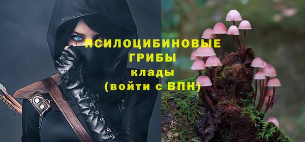 jwh Белокуриха