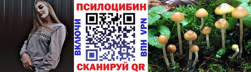 где продают наркотики  Нарьян-Мар  Галлюциногенные грибы ЛСД 